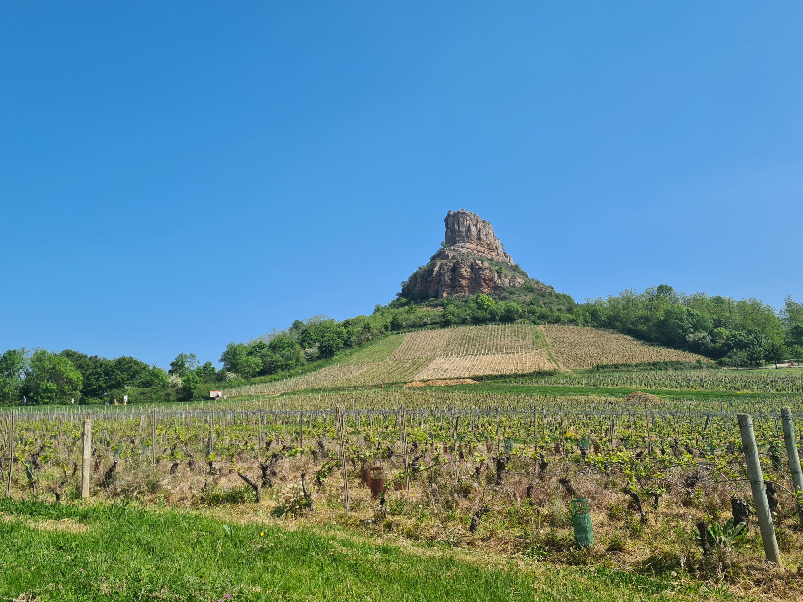 Bourgogne Pouilly-Fuissé