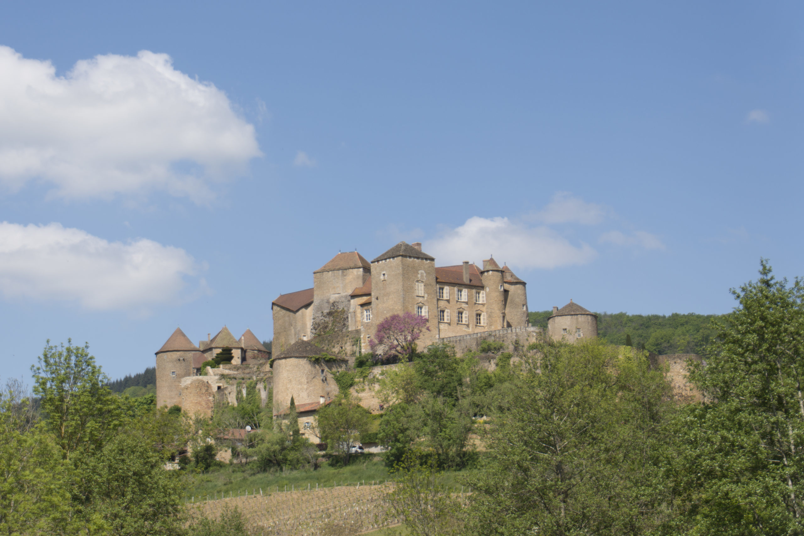 Berzé le Chatel