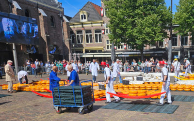 Marche au fromage Alkmaar