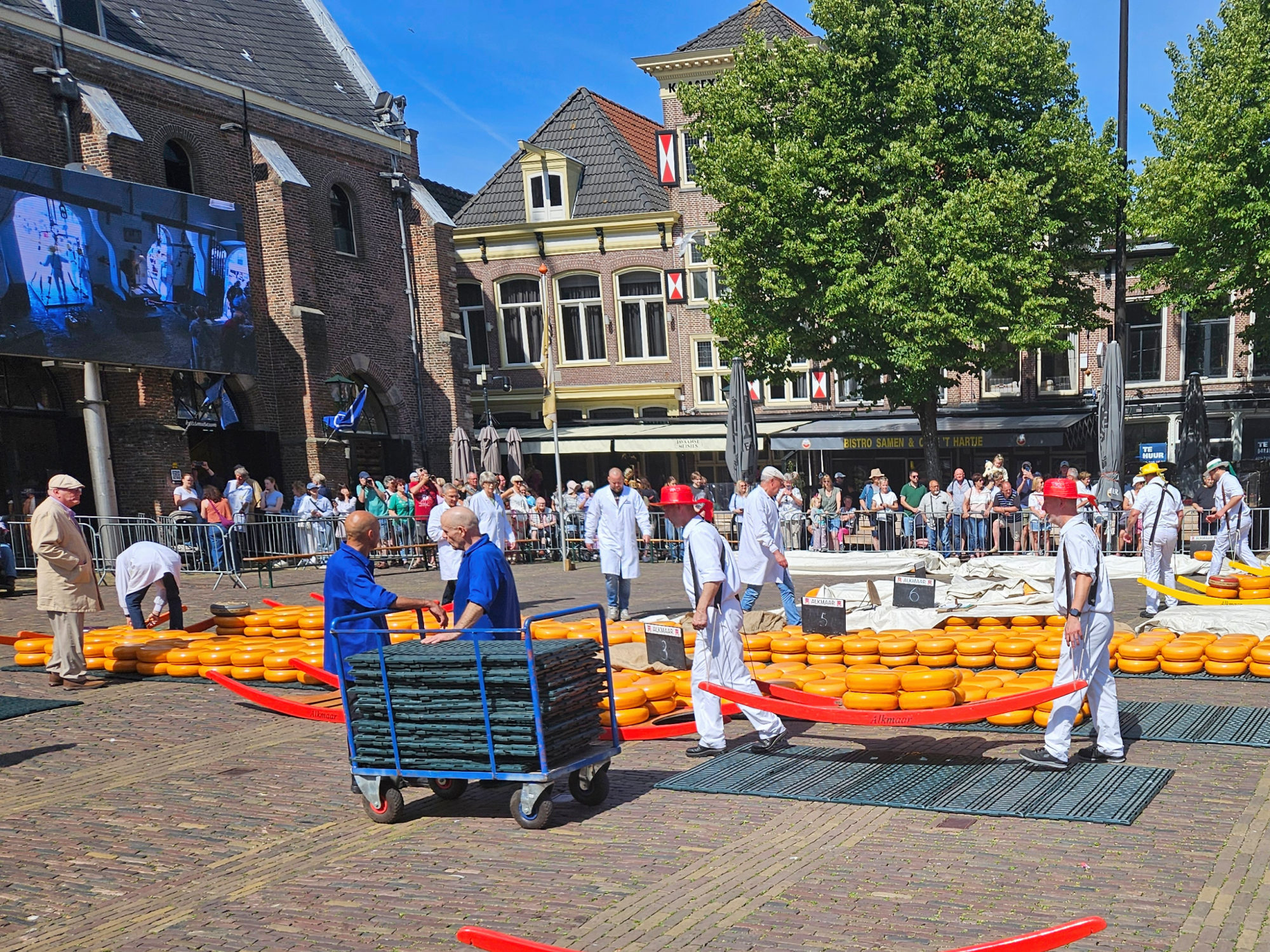 Marche au fromage Alkmaar