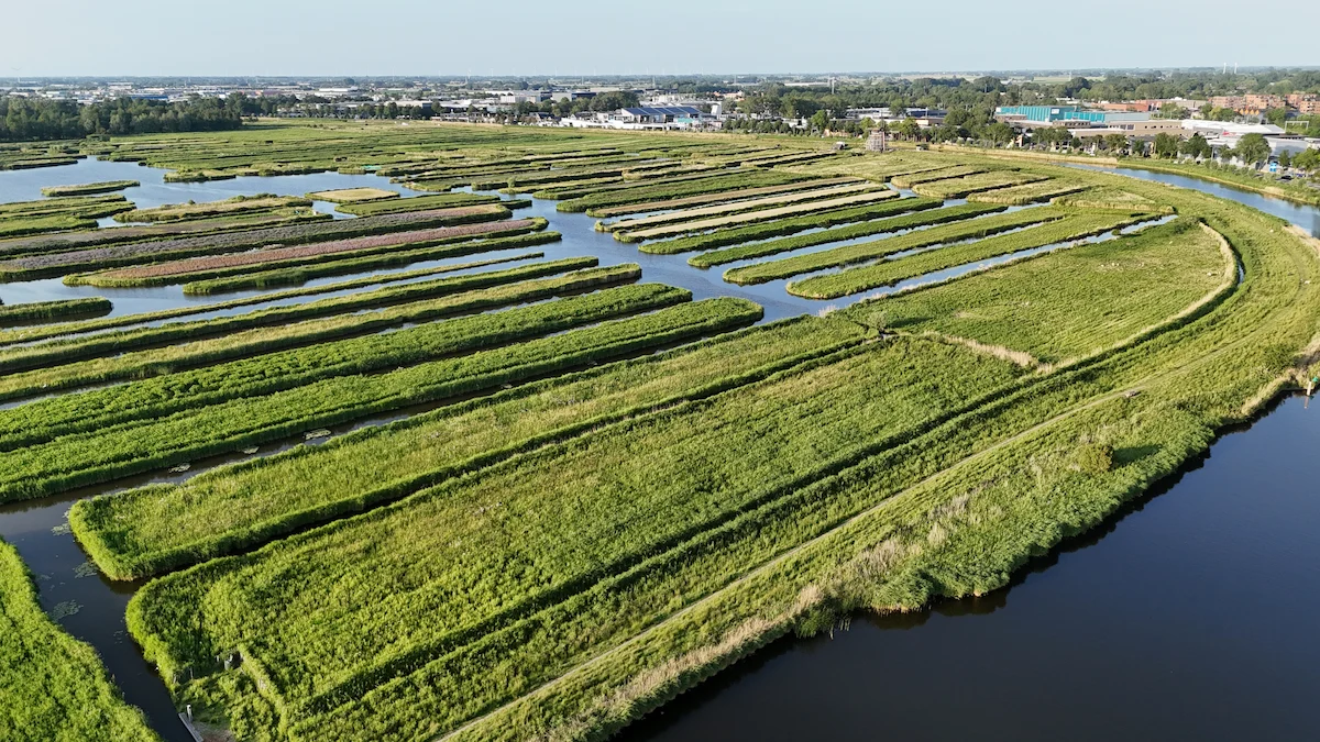 Polder de Langedijk quadrillé de canaux maraîchers